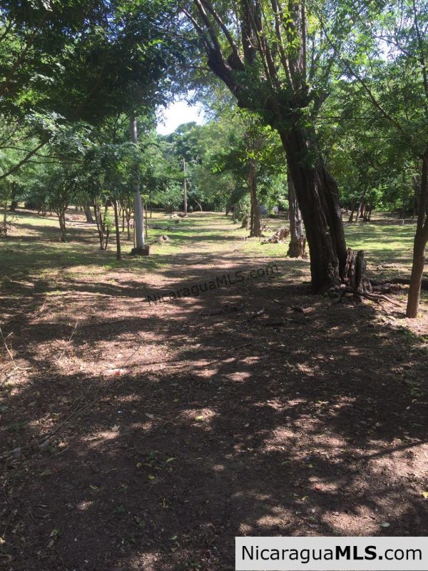 Commercial acreage within walking distance to Playa Marsella and Maderas - Image 14