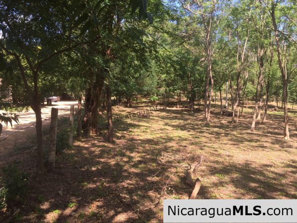 Commercial acreage within walking distance to Playa Marsella and Maderas - Image 15