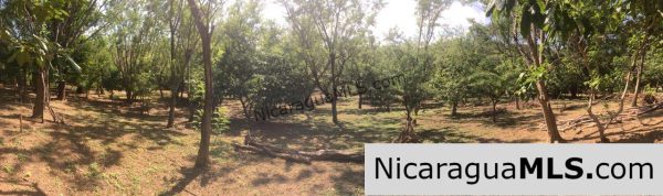 Commercial acreage within walking distance to Playa Marsella and Maderas - Image 18