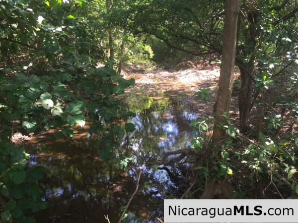 Commercial acreage within walking distance to Playa Marsella and Maderas - Image 20