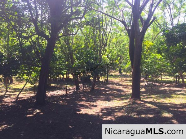 Commercial acreage within walking distance to Playa Marsella and Maderas - Image 17
