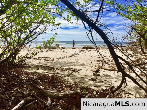 Beachfront lot Playa El Coco - Image 4