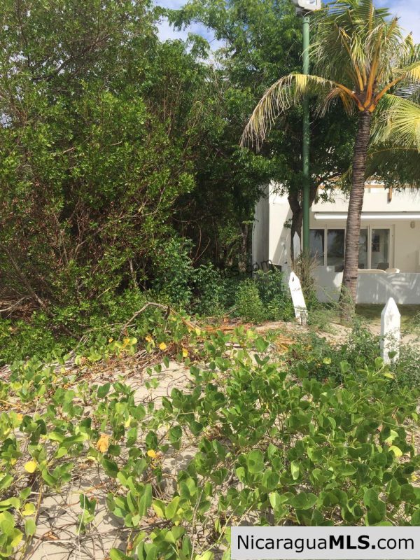 Beachfront lot Playa El Coco - Image 8
