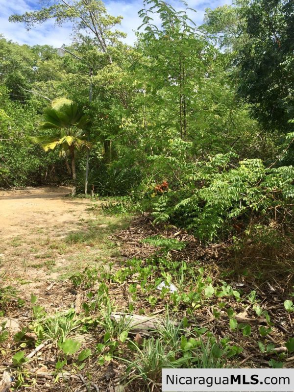Beachfront lot Playa El Coco - Image 14