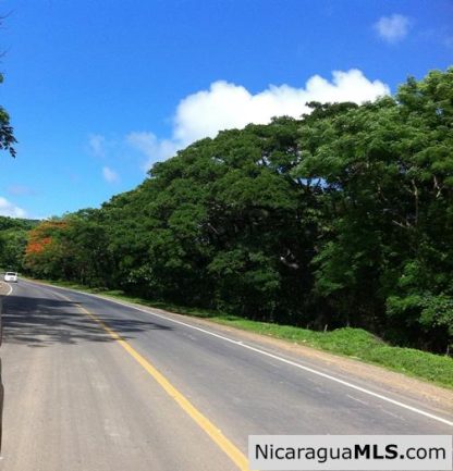 Large Commercial Property at SJDS Town Limits