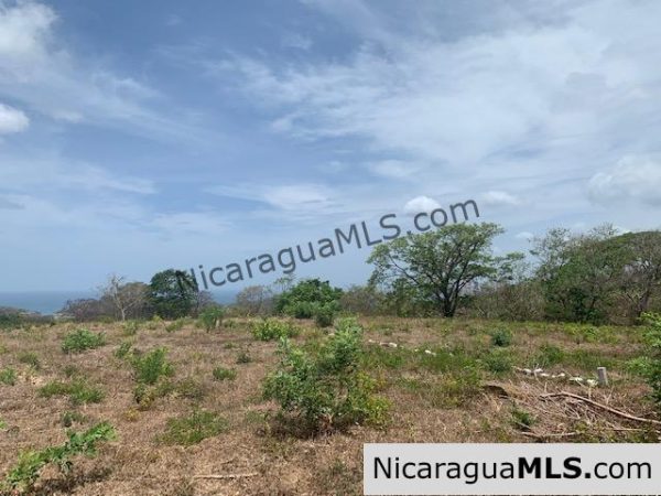 Amazing Ocean Views and Direct Access to Tree Casa Resort - Image 7