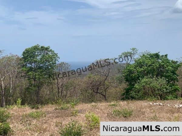 Amazing Ocean Views and Direct Access to Tree Casa Resort - Image 11
