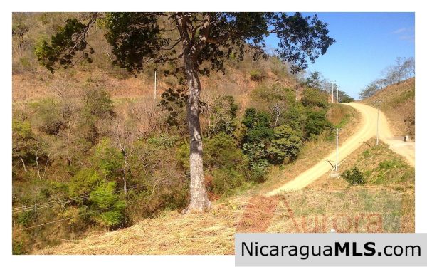 Beautiful Oceanview Lot at Paradise Bay - Image 6