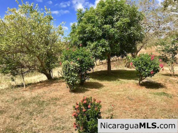 Ocean view fixer upper on almost 5 Acres - Image 11