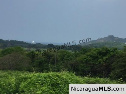Ocean View lot in Palermo