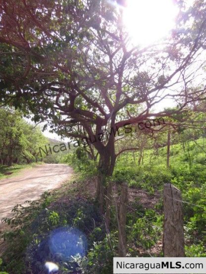 Large Piece South of San Juan del Sur