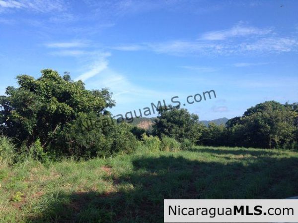 Pacific Marlin Incredible Ocean View Lot - Image 2