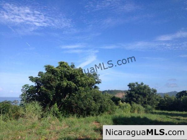 Pacific Marlin Incredible Ocean View Lot - Image 3