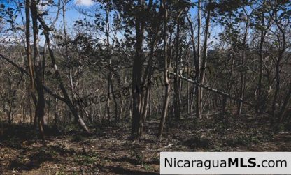 Playa Maderas Bargain 3.1 Acre Property
