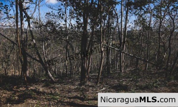 Playa Maderas Bargain 3.1 Acre Property - Image 8