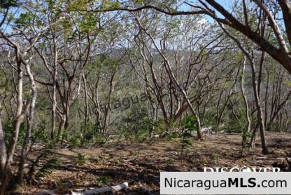 Playa Maderas Bargain 3.1 Acre Property