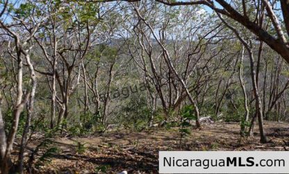 Playa Maderas Bargain 3.1 Acre Property