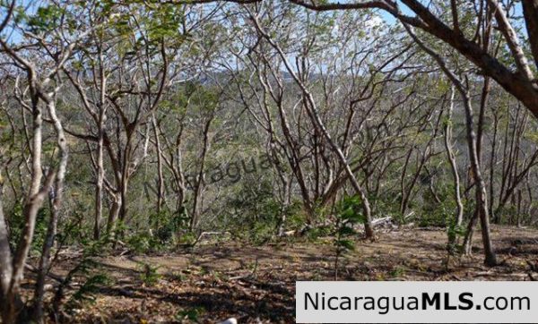Playa Maderas Bargain 3.1 Acre Property - Image 9