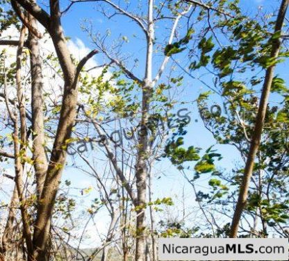 Playa Maderas Bargain 3.1 Acre Property