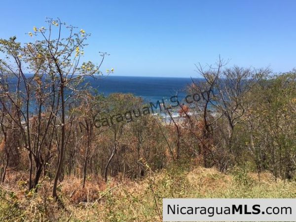 Cantamar de Yankee Lot 39 - Image 4