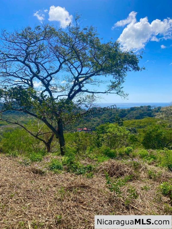 Vista Cinco Bahias lot 20 at Playa Maderas, north of San Juan del Sur - Image 13