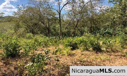 Playa Maderas Bargain 3.1 Acre Property