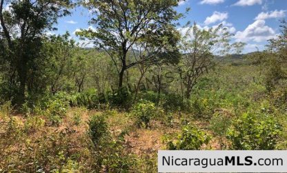 Playa Maderas Bargain 3.1 Acre Property