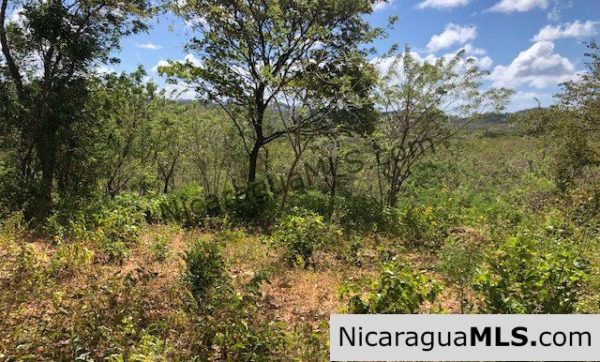 Playa Maderas Bargain 3.1 Acre Property - Image 14