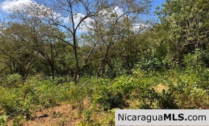 Playa Maderas Bargain 3.1 Acre Property
