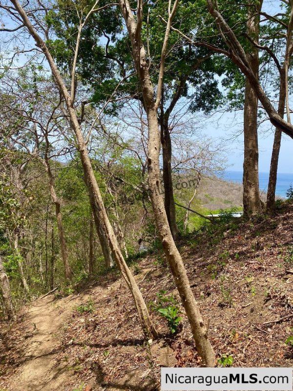 Small ocean view lot at Playa Maderas - Image 2