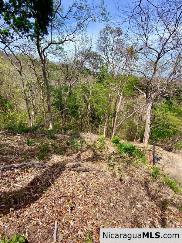 Small ocean view lot at Playa Maderas - Image 6