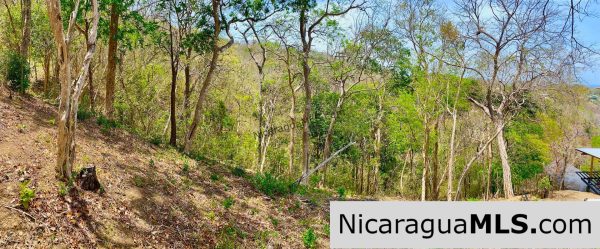 Small ocean view lot at Playa Maderas - Image 3