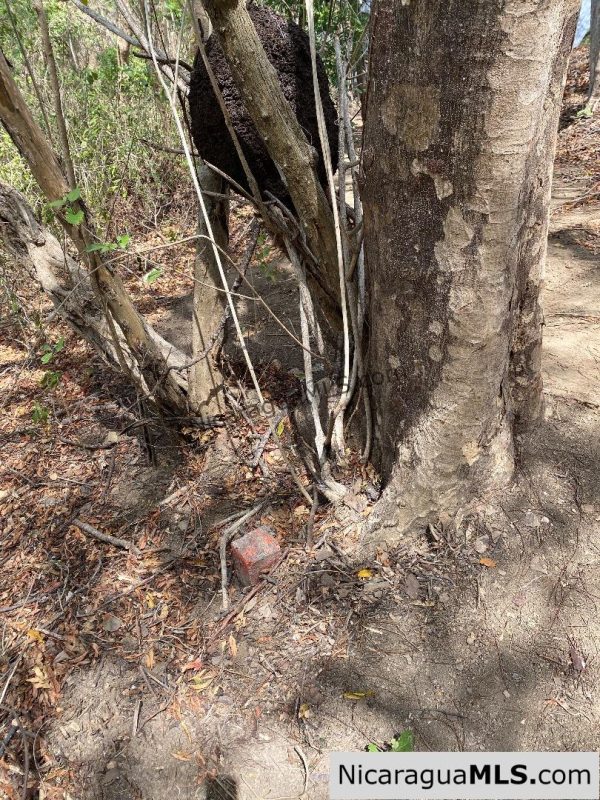 Small ocean view lot at Playa Maderas - Image 11
