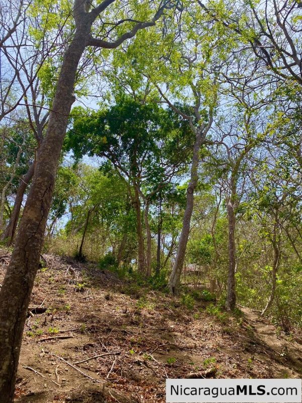 Small ocean view lot at Playa Maderas - Image 8