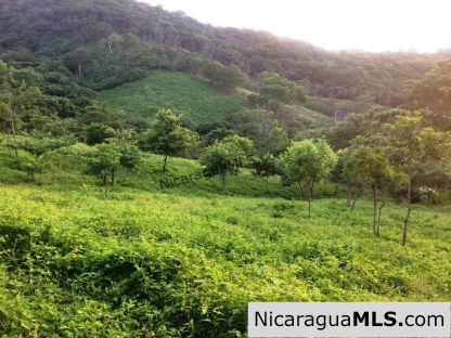 Off Grid Tranquil Paradise Only 20 Minutes North of San Juan del Sur