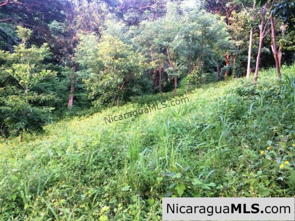 Off Grid Tranquil Paradise Only 20 Minutes North of San Juan del Sur - Image 11