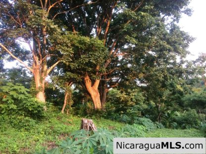 Off Grid Tranquil Paradise Only 20 Minutes North of San Juan del Sur