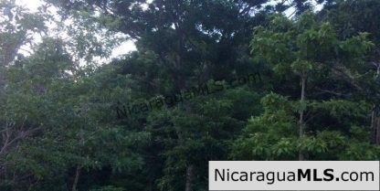 Off Grid Tranquil Paradise Only 20 Minutes North of San Juan del Sur