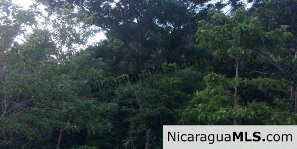 Off Grid Tranquil Paradise Only 20 Minutes North of San Juan del Sur - Image 13