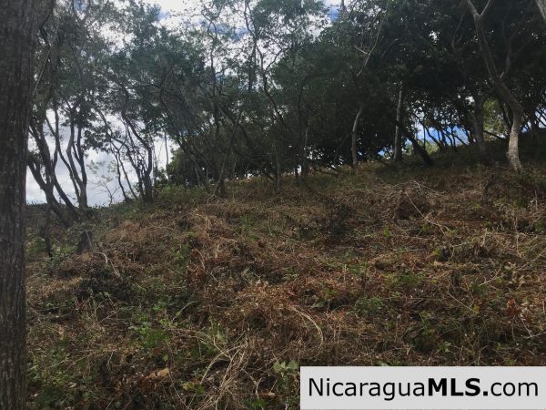 Las Escaleras Lot 9 - Image 7