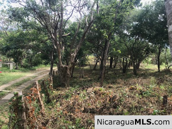 Las Escaleras Lot 9 - Image 13