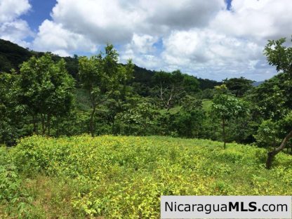 Off Grid Tranquil Paradise Only 20 Minutes North of San Juan del Sur