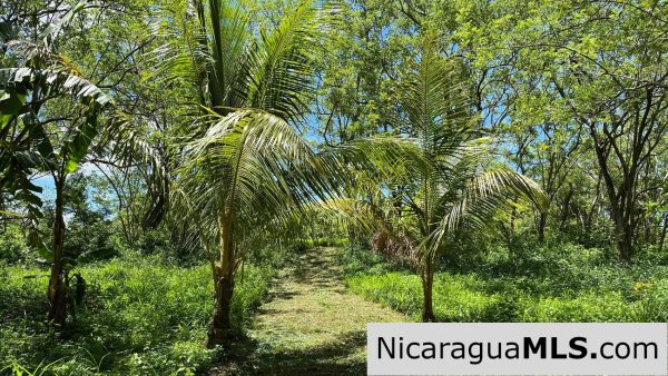 Casita Plus Land in El Oro San Juan Del Sur Nicaragua - Image 9