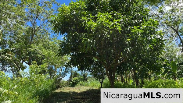 Casita Plus Land in El Oro San Juan Del Sur Nicaragua - Image 7