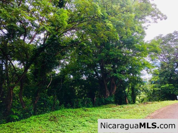 Las Fincas Lot 24 1.24 Acres With Commercial or Residential Potential - Image 9