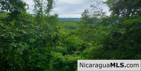 Las Fincas Lot 24 1.24 Acres With Commercial or Residential Potential - Image 2