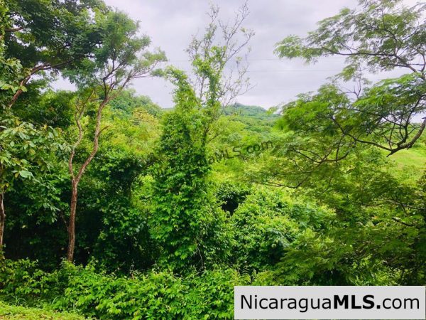 Las Fincas Lot 24 1.24 Acres With Commercial or Residential Potential - Image 3