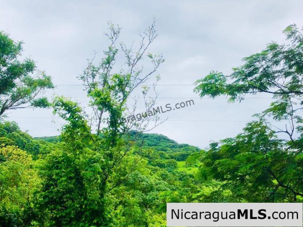 Las Fincas Lot 24 1.24 Acres With Commercial or Residential Potential - Image 4