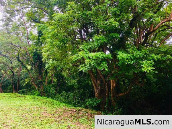 Las Fincas Lot 24 1.24 Acres With Commercial or Residential Potential - Image 5