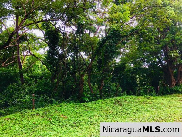 Las Fincas Lot 24 1.24 Acres With Commercial or Residential Potential - Image 6